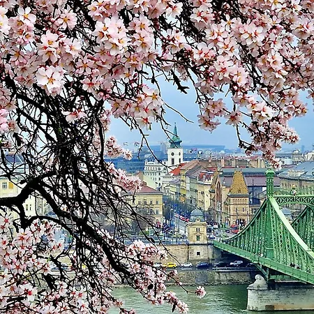 아파트 The Spot With Chair - Cozy Space Near Danube